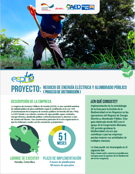 Negocio de Energía Eléctrica y Alumbrado Público ( proceso de distribución )