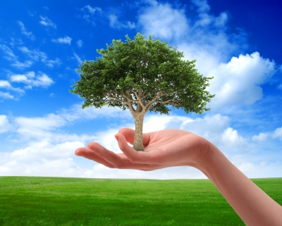 Alianza facilitará a empresas ser Carbono Neutral Plus y apoyar proyectos costarricenses de energía limpia