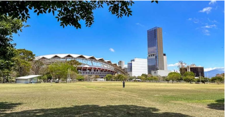 Vista desde el Parque Metropolinano La Sabana al Estadio Nacional. Es un campo verde de zacate, con un cielo azul despejado, la foto esta enmarcada por la rama de un árbol y a lo lejos se ve el Estadio Nacional y algunos edificios  