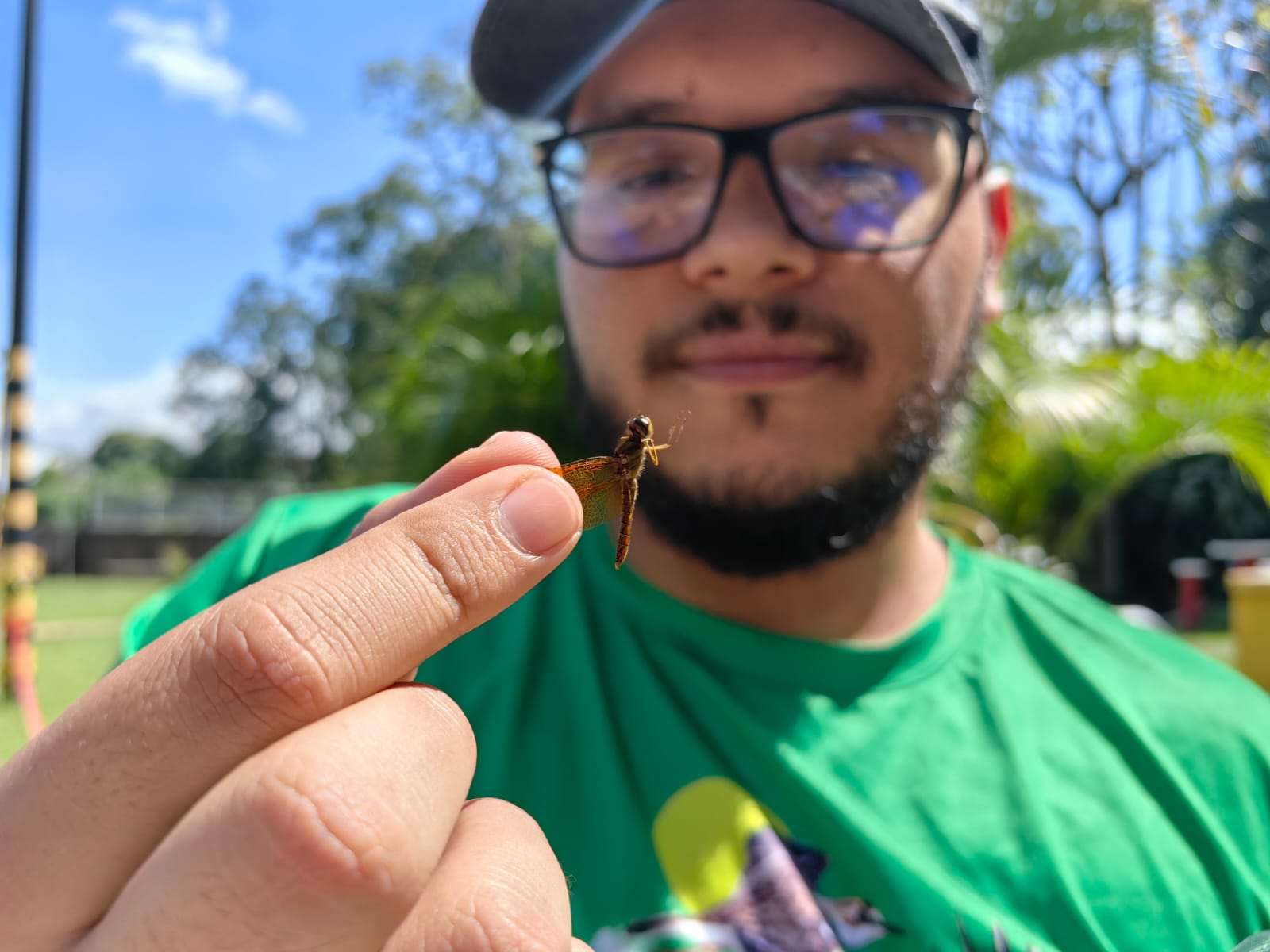 Francisco Ramírez, especialista en insectos