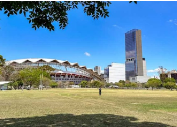 Vista desde el Parque Metropolinano La Sabana al Estadio Nacional. Es un campo verde de zacate, con un cielo azul despejado, la foto esta enmarcada por la rama de un árbol y a lo lejos se ve el Estadio Nacional y algunos edificios  