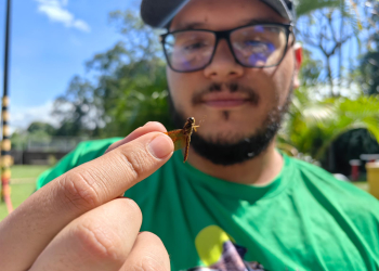 Francisco Ramírez, especialista en insectos