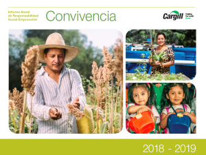 Informe Anual de Responsabilidad Social Empresarial 2018 - 2019